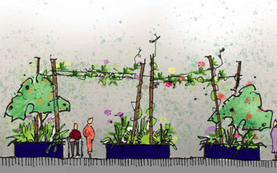 Andrew introduces EGA- Eckersley Garden Architecture. Video 3