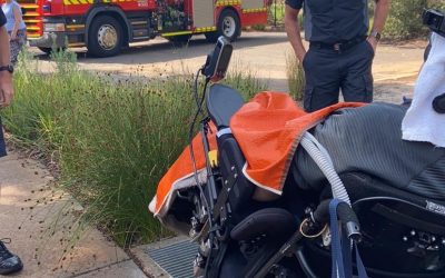 The Pergola and Inner deck