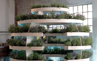 Episode 7. The Green Room