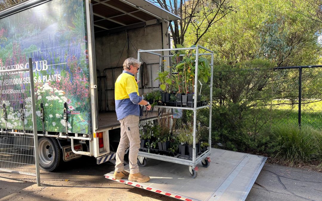 The first lot of plants arrive
